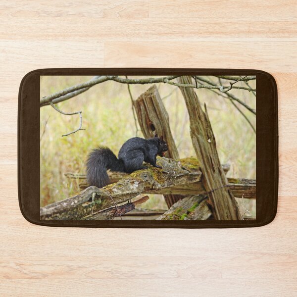Item preview, Squirrel On The Rails designed and sold by Debbie Oppermann.