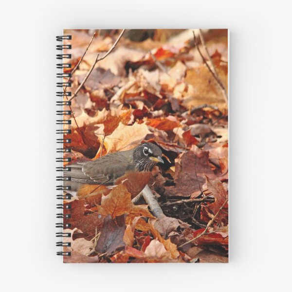 Item preview, Robin Playing In Fallen Leaves designed and sold by Debbie Oppermann.