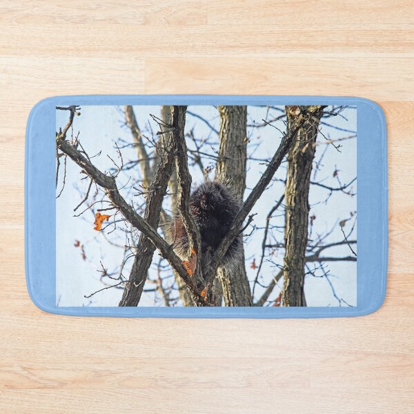 Item preview, Porcupine In Fall designed and sold by Debbie Oppermann.