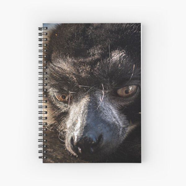 Lemur Spiral Notebook