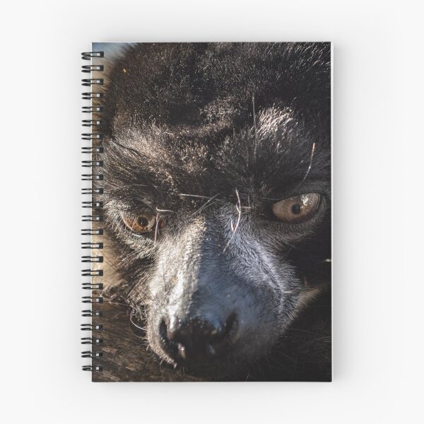 Item preview, Lemur designed and sold by ArboreSciences.