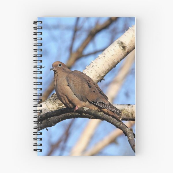 Item preview, Mourning Dove In Birch Tree designed and sold by Debbie Oppermann.
