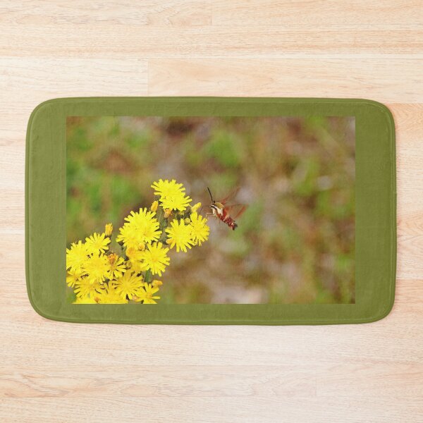 Item preview, Clearwing Moth And Hawkweed designed and sold by Debbie Oppermann.