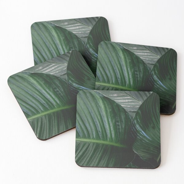 Item preview, Plant, spathiphyllum, vaginal leaf, leaf vane, single leaf designed and sold by Cedric Urbany.