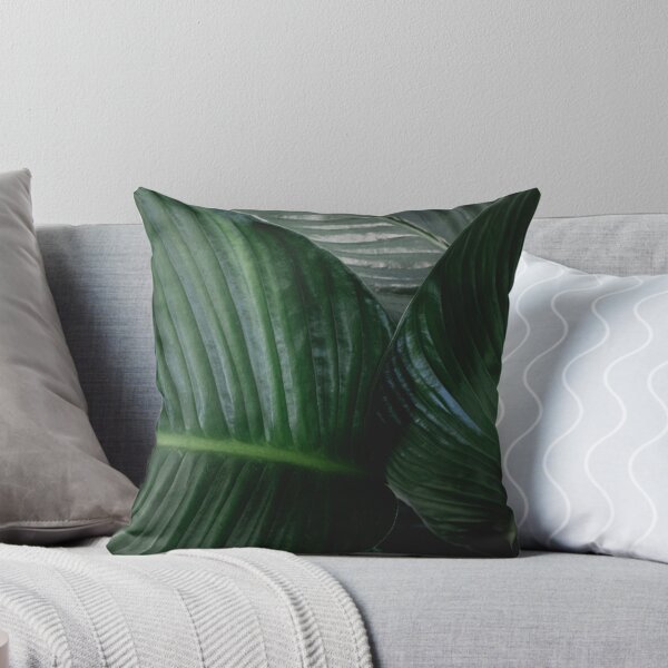 Item preview, Plant, spathiphyllum, vaginal leaf, leaf vane, single leaf designed and sold by Cedric Urbany.