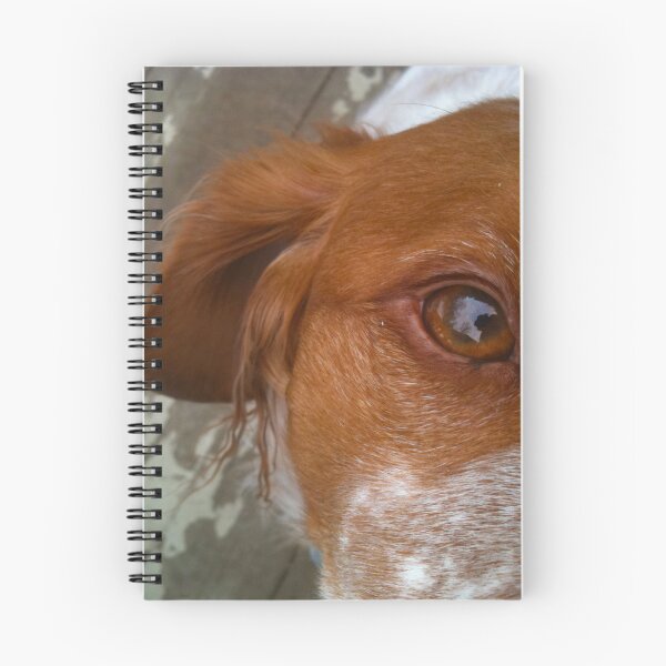 Item preview, My Dog is My Best Friend designed and sold by Christine "Xine" Segalas.
