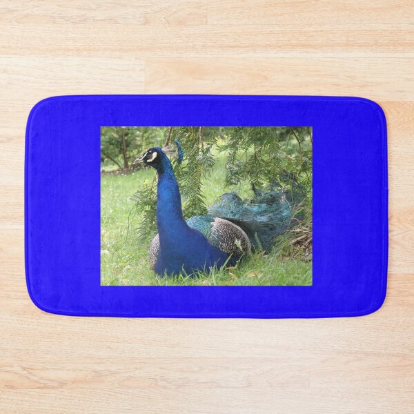 Item preview, Peacock Sitting Pretty Photograph designed and sold by naturegallery.