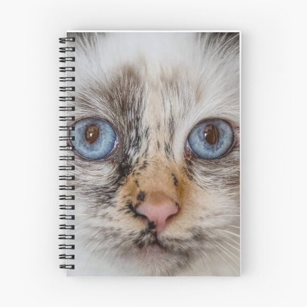 Item preview, Tortie Birman designed and sold by carrizizi.