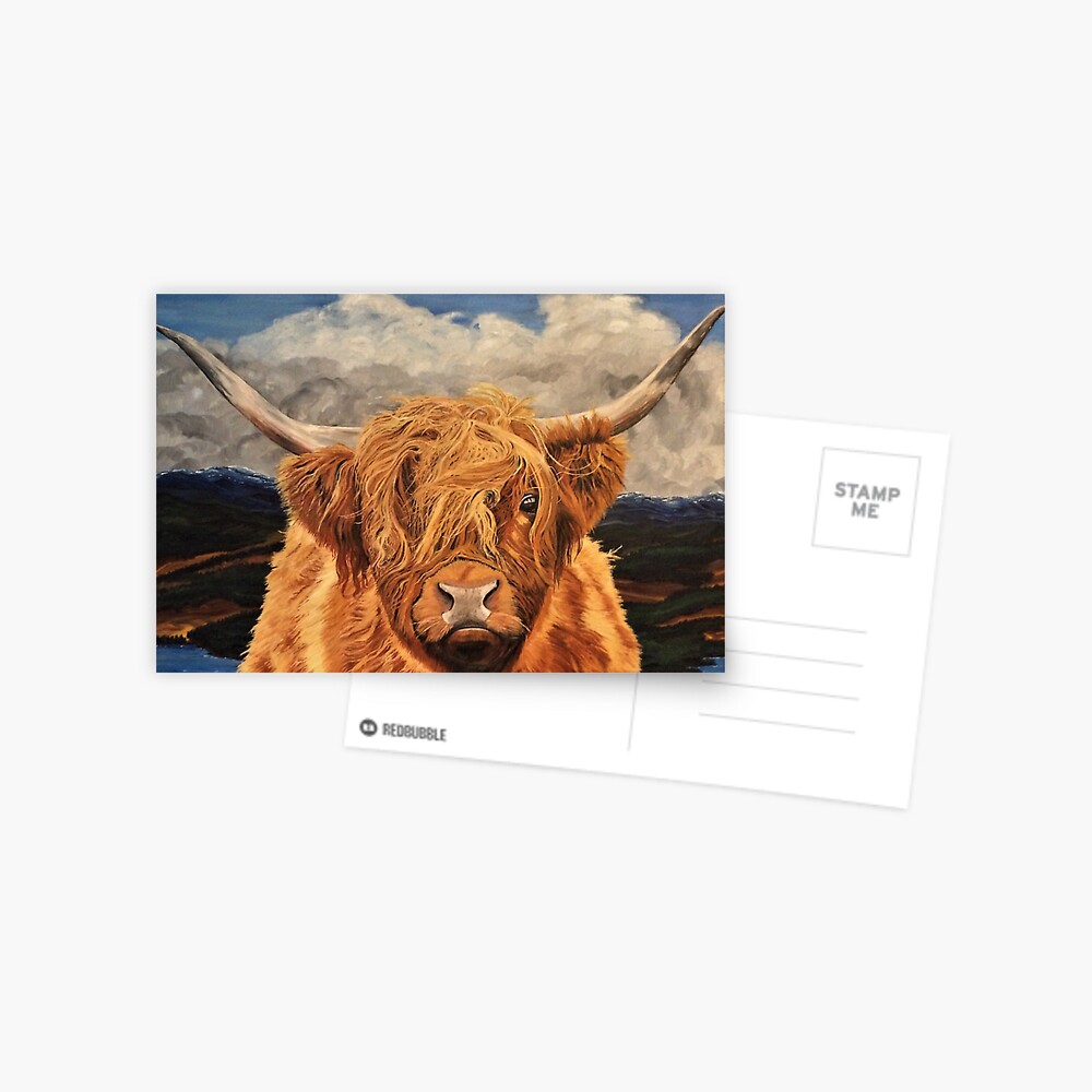 Highland Cow - Postcard Postcard