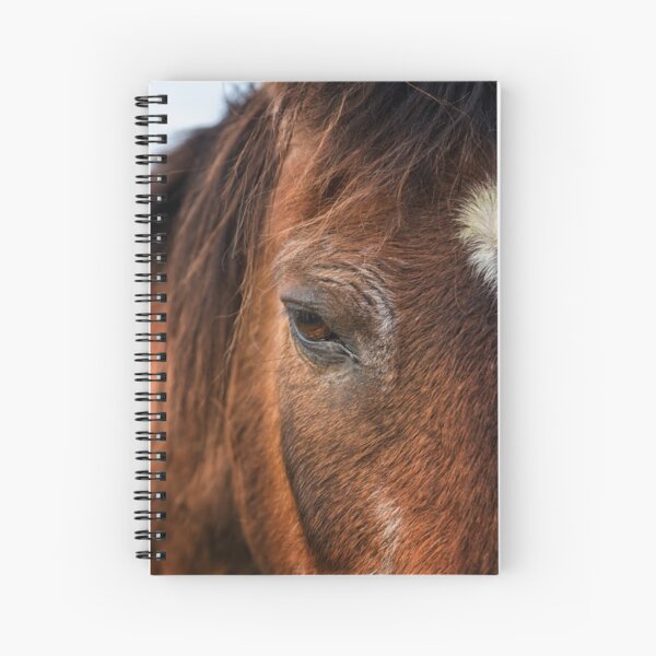 I see you Spiral Notebook