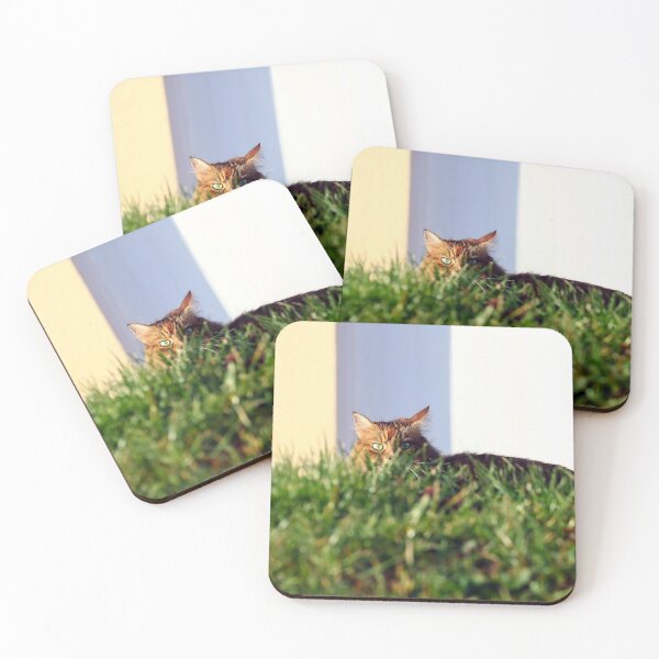 Item preview, Spotted! designed and sold by GreyFeatherPhot.
