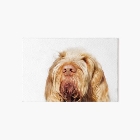 Waiting for you Spinone Art Board Print