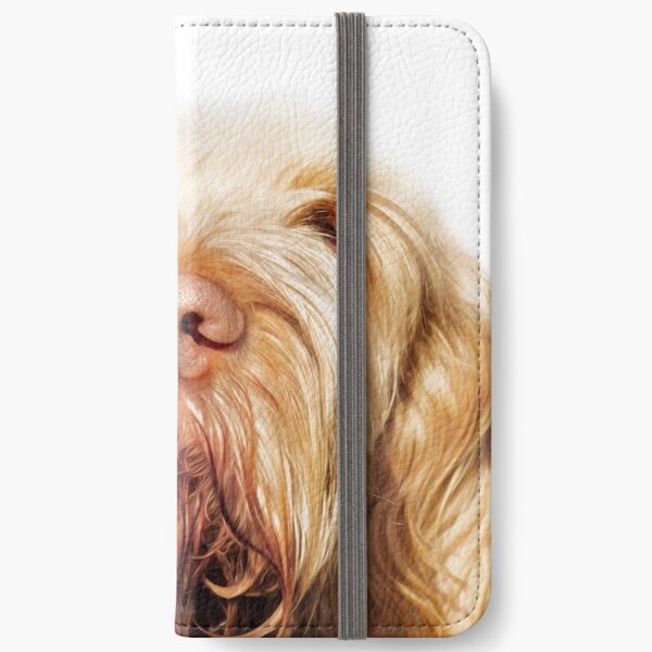 Waiting for you Spinone iPhone Wallet