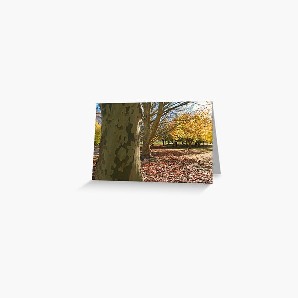 Autumn view Greeting Card