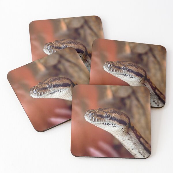 Item preview, Australian Carpet Python designed and sold by ChristineJayne.