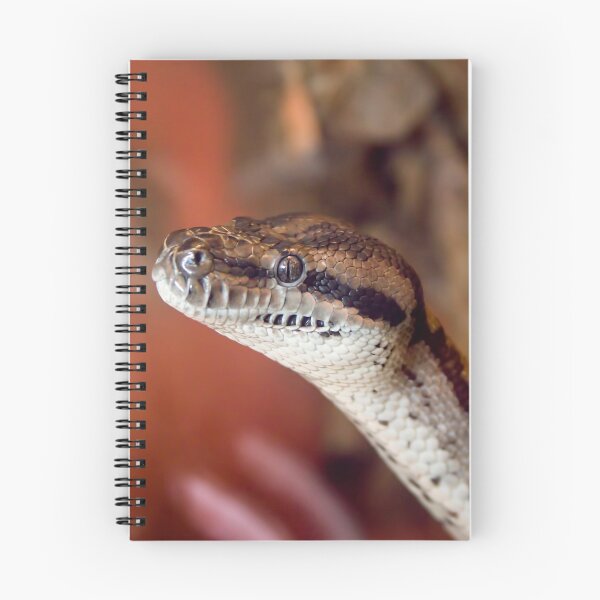 Item preview, Australian Carpet Python designed and sold by ChristineJayne.