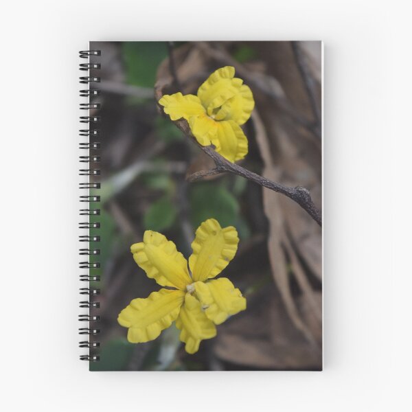 Item preview, Goodenia designed and sold by Caroline Everett.