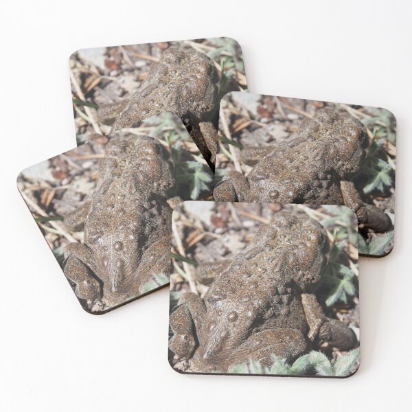 Item preview, California Toad designed and sold by WhiteTipRose.