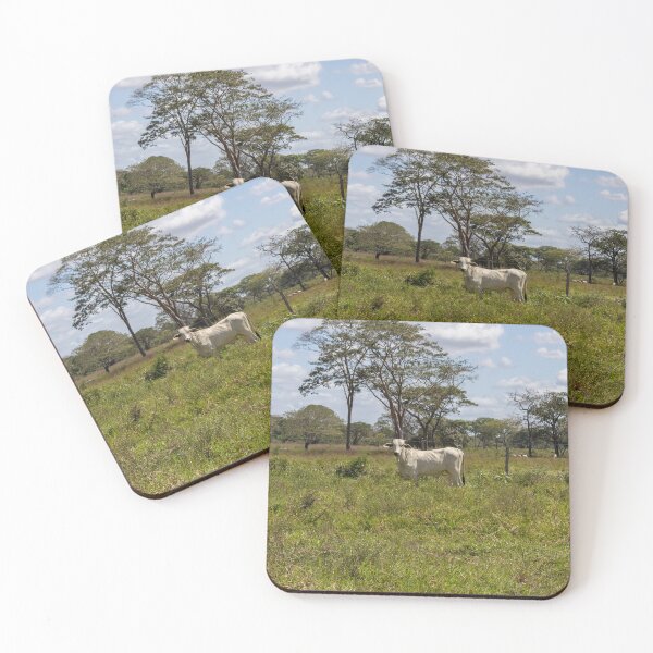 Item preview, cow in the country in Venezuela designed and sold by ricobarinas.