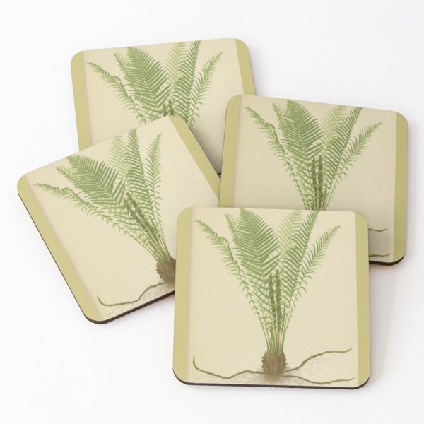 Item preview, Ostrich Fern designed and sold by BlueSpecsStudio.