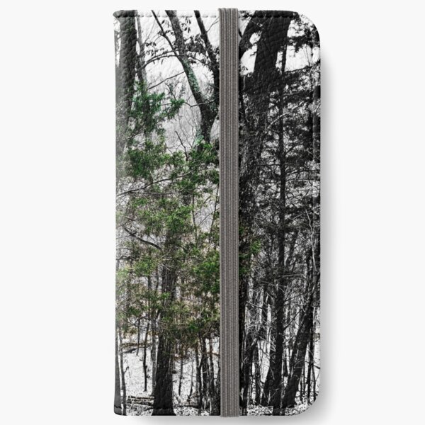 Evergreen iPhone Wallet