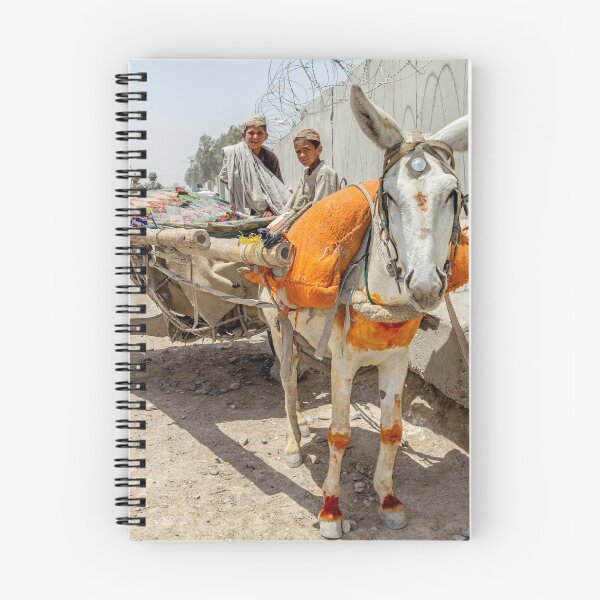 Item preview, Afghan Boys and Donkey Cart designed and sold by srgreen.