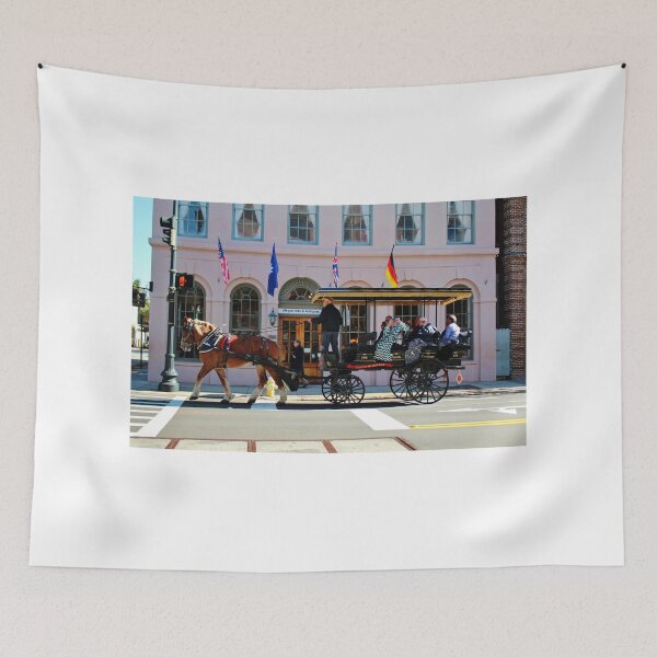 Item preview, Historical Charleston Tour designed and sold by Cynthia48.