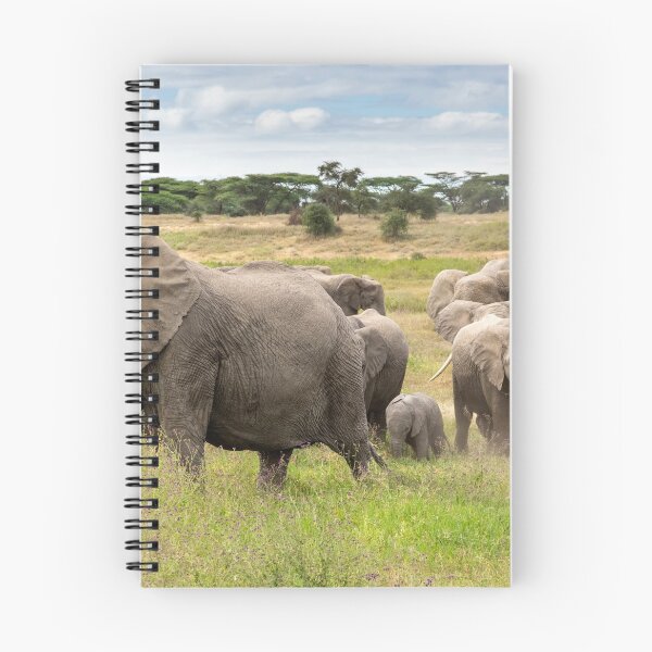Item preview, Elephant Family, Ngorongoro Concession, Tanzania designed and sold by Andrew Goodall.