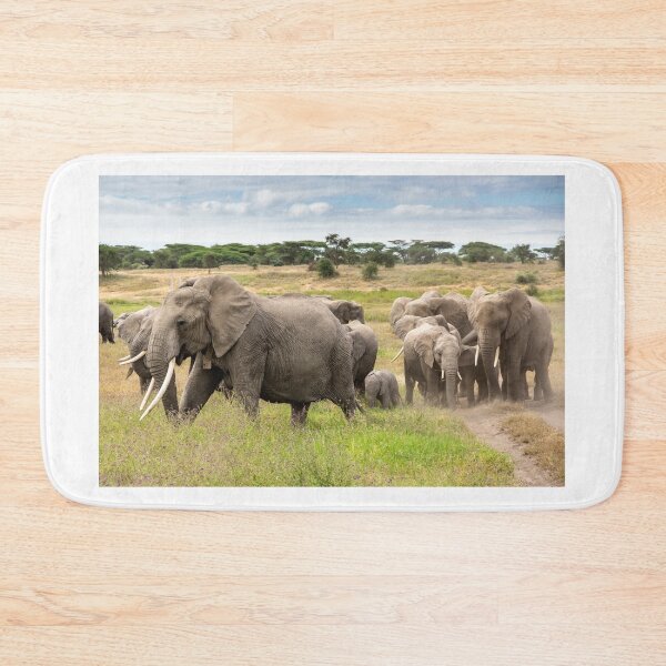 Item preview, Elephant Family, Ngorongoro Concession, Tanzania designed and sold by Andrew Goodall.
