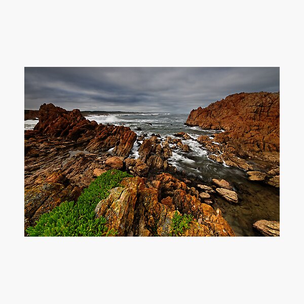 Item preview, Rough as Guts Tarkine Coast designed and sold by Robert Mullner.