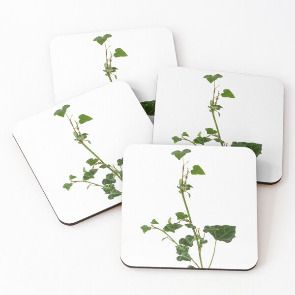 Item preview, Ivy branch isolated on a white background designed and sold by AnaMOMarques.