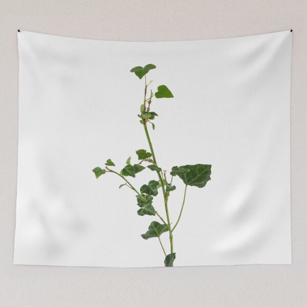 Item preview, Ivy branch isolated on a white background designed and sold by AnaMOMarques.