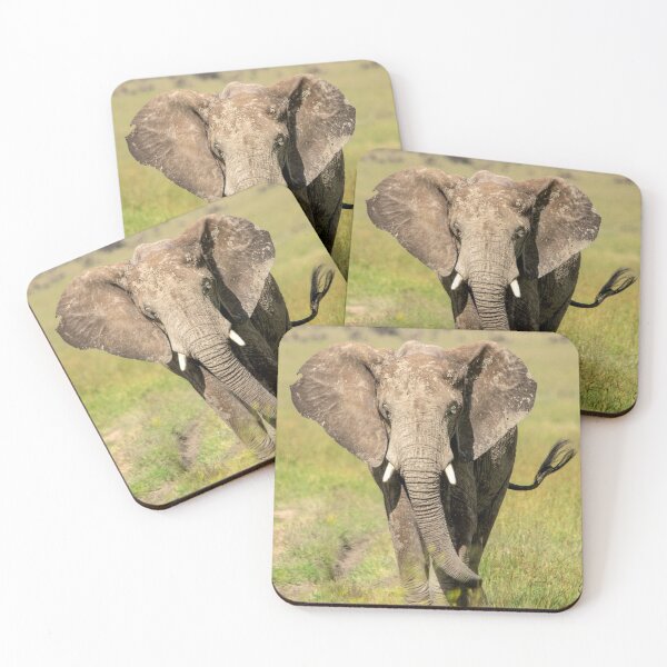 Item preview, Elephant on the Serengeti, Tanzania designed and sold by Andrew Goodall.