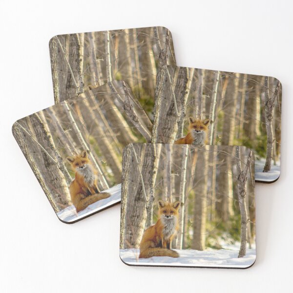 Item preview, Fox in the Evening Light designed and sold by cdbeemer.