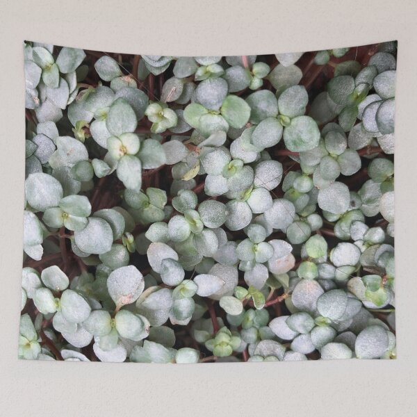 Item preview, Clover Leaf Close-Up designed and sold by artbylukas.