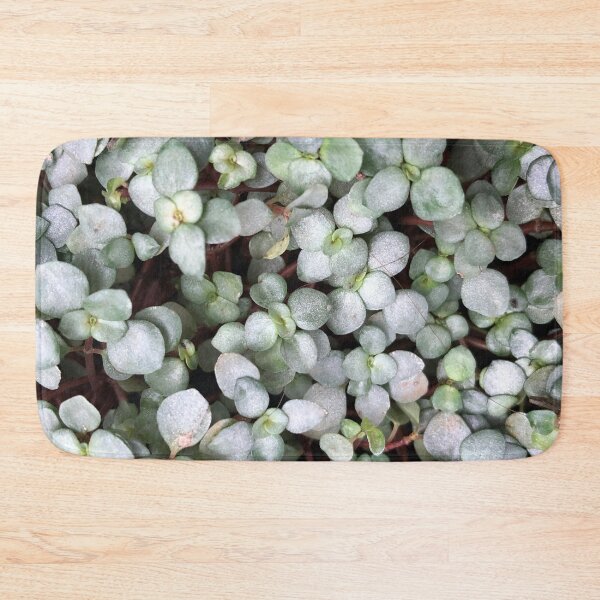 Item preview, Clover Leaf Close-Up designed and sold by artbylukas.