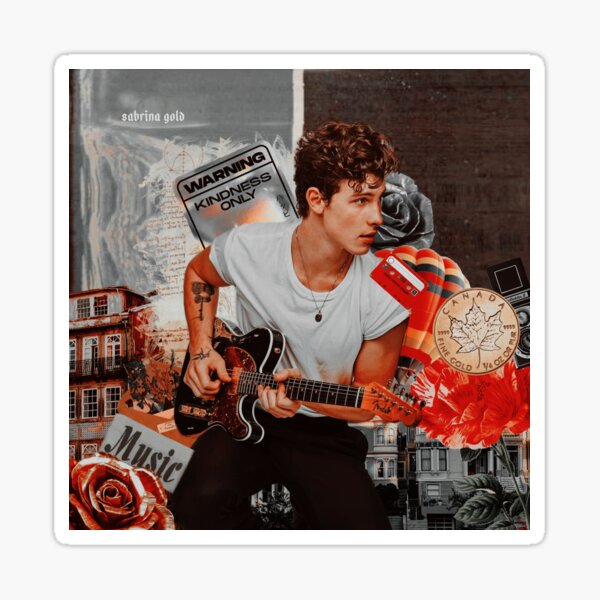 Shawn, Collage, Retro, Mendes Sticker