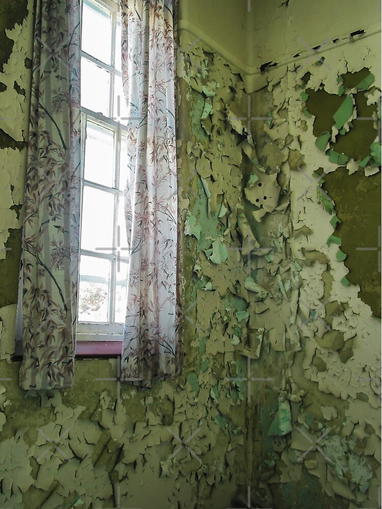 Curtain Of Peeling Paint by kpander