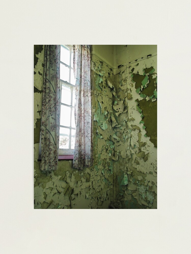 Alternate view of Curtain Of Peeling Paint Photographic Print