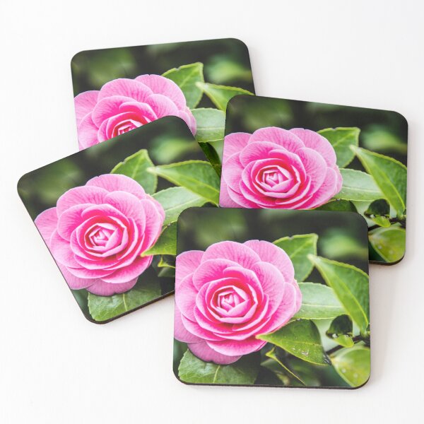 Item preview, Pink Camelia, Dandenong Ranges NP designed and sold by jennyjones.