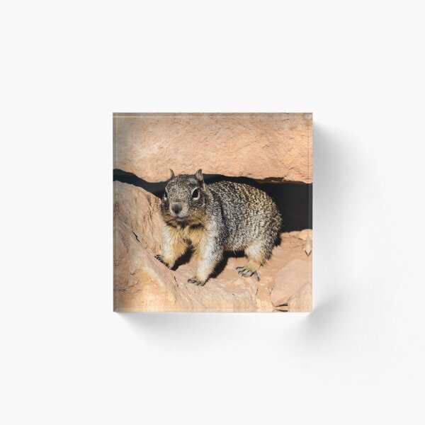 Item preview, Squirrel at Grand Canyon NP designed and sold by jennyjones.