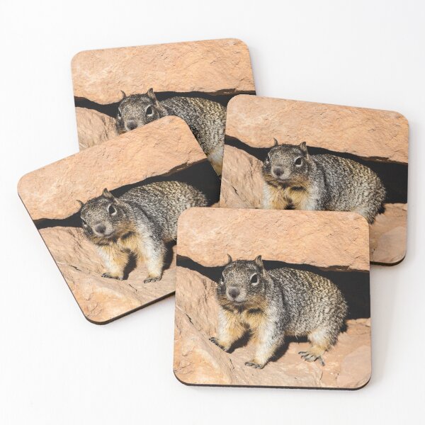 Artikelvorschau, Eichhörnchen am Grand Canyon NP entworfen und verkauft von jennyjones.