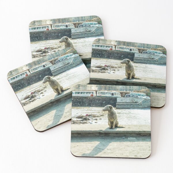Item preview, Stray by the River designed and sold by srgreen.