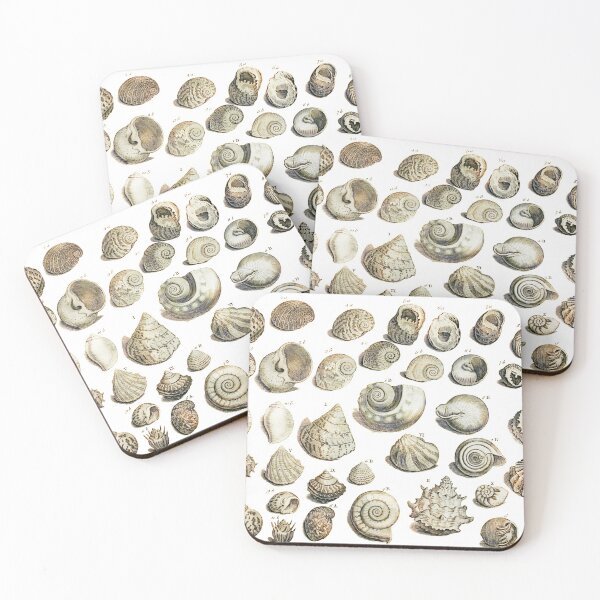 Item preview, Sea Shells illustration from Gentlemens Magazines 1755 designed and sold by simpson92.