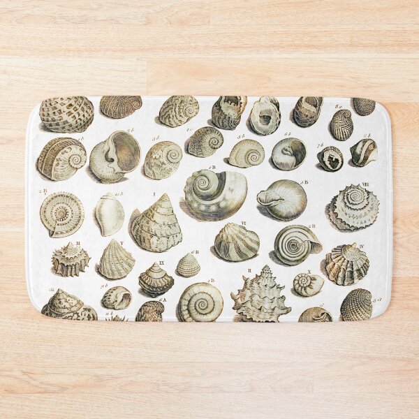 Item preview, Sea Shells illustration from Gentlemens Magazines 1755 designed and sold by simpson92.