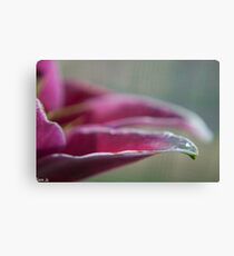 Untitled Canvas Print