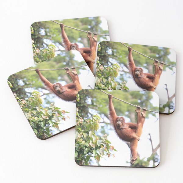 Item preview, Hang in there... designed and sold by mlorenz.