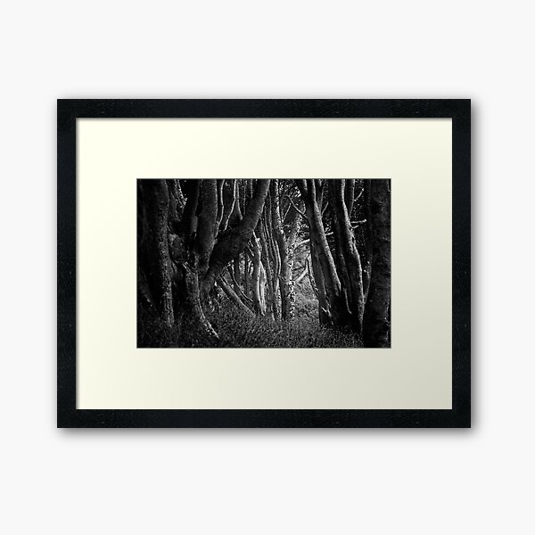Forest Highlight - Isle of Mull Framed Art Print