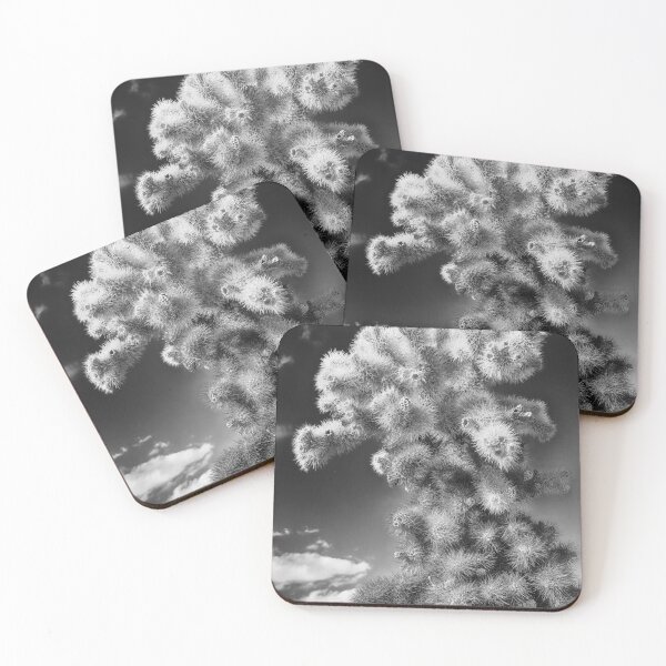 Item preview, Cholla Cactus - Joshua Tree National Park designed and sold by Stephen Stookey.