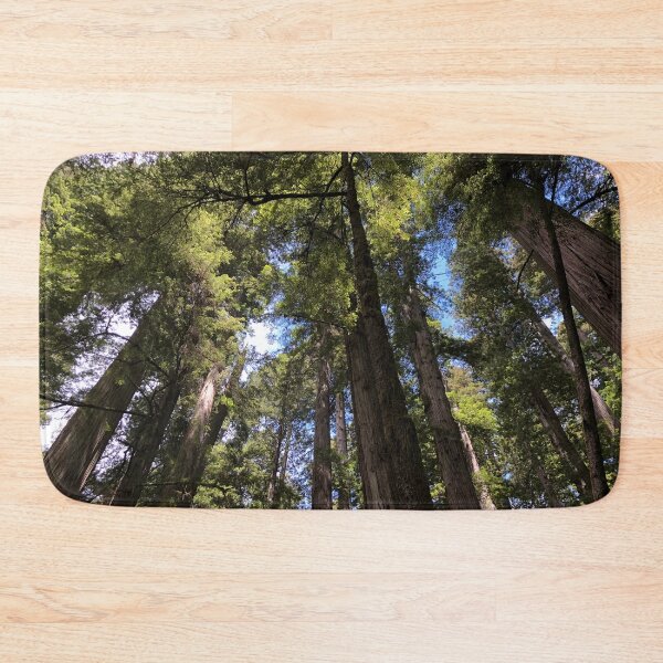 Item preview, Redwood Canopy designed and sold by artbylukas.